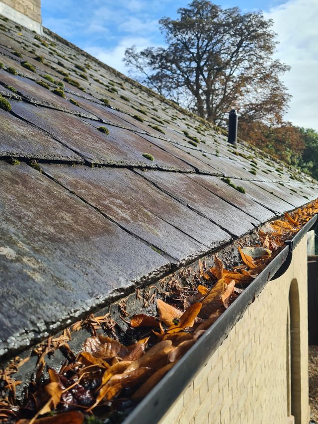 Gutter-Cleaning-Norfolk-jpg-min-640w