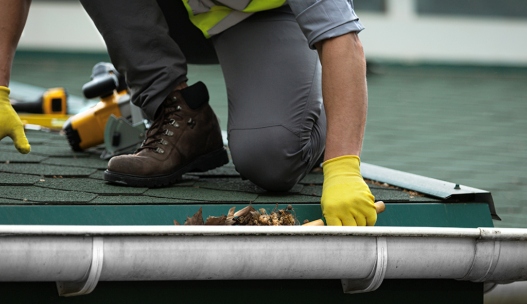 Professional Gutter Cleaning near Forest Hills TN