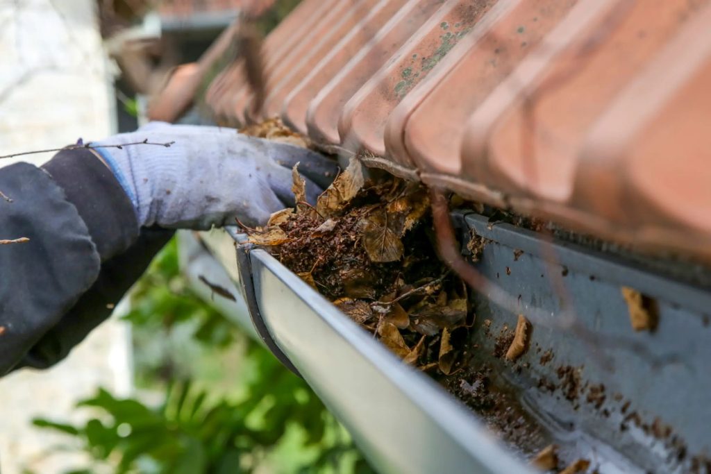Professional Gutter Cleaning in Nolensville TN