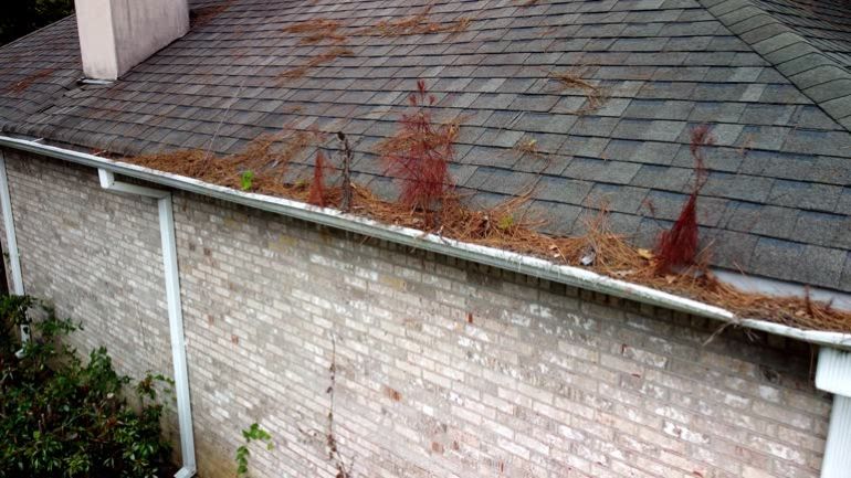 Roof Damage and Rot