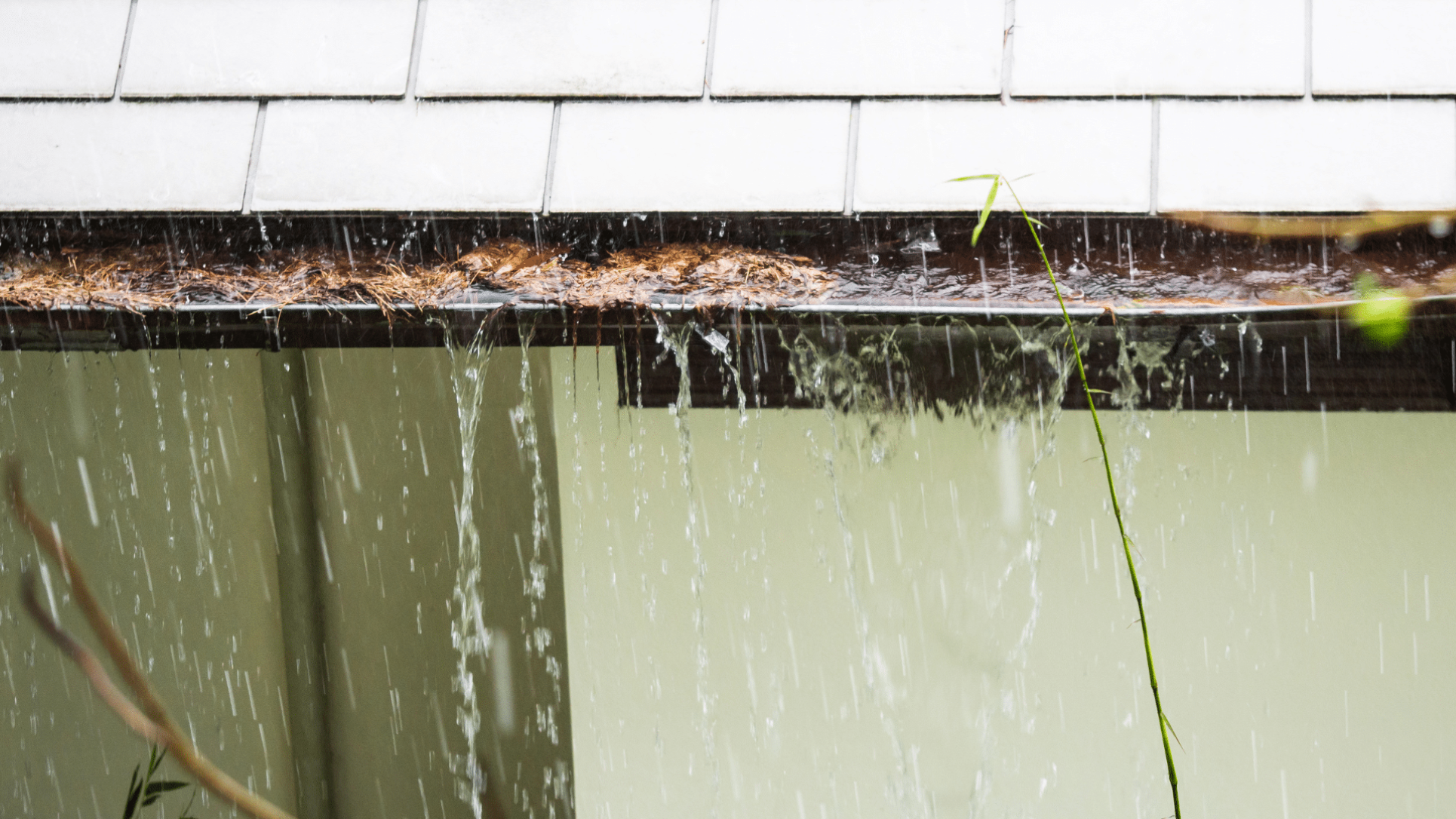 Water Damage to Your Home due to not cleaning gutters in Nolensville