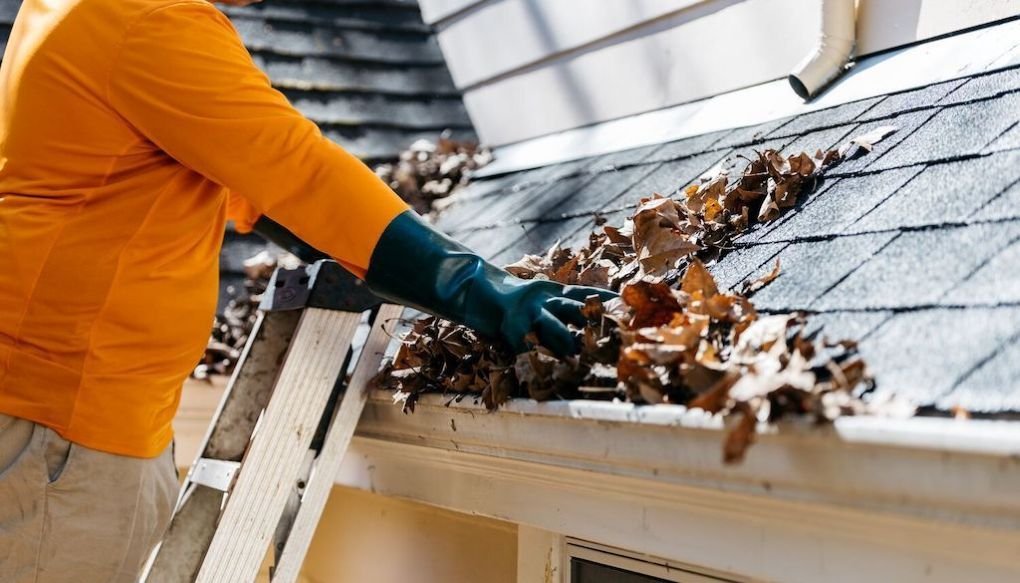 Gutter Cleaning in Fairview, TN 3 Homeowners in Fairview trust Faith to Victory for reliable gutter cleaning services backed by consistent 5-star reviews and proven results.